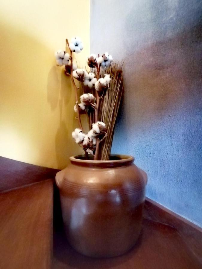 Quietude Villa Lagorce  Ngoại thất bức ảnh